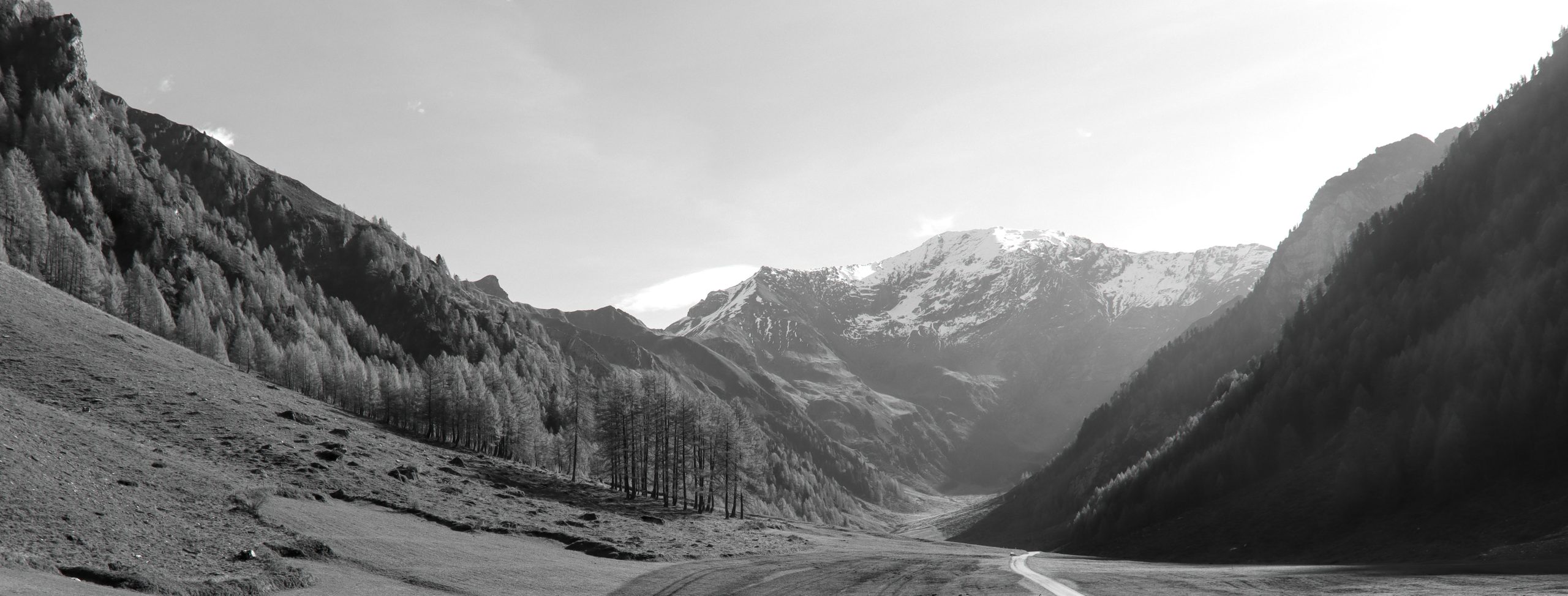 IT-Projekt, aber keinen passenden Partner?